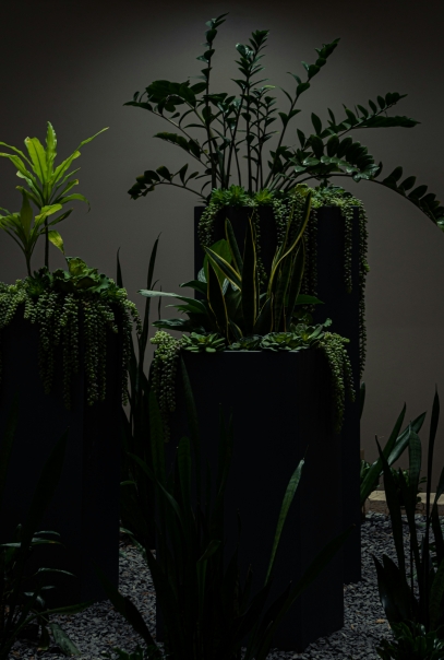 كيف تتكيف النباتات مع البيئات القاسية – استراتيجيات بقاء النباتات