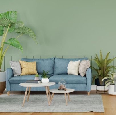 20 نبتة مزهرة داخلية لإضفاء الحيوية على منزلك في الربيع