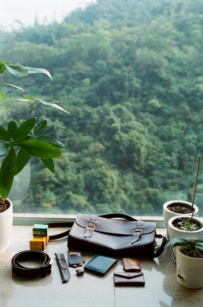 قوة النباتات العلاجية – صيدلية الطبيعة في حديقة منزلك